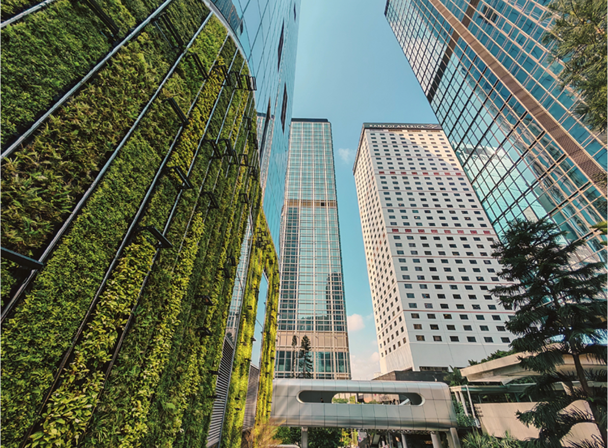 From Frameworks to Action: Assessing Financial Institutions’ Transition Plans with the NZFT (2026)