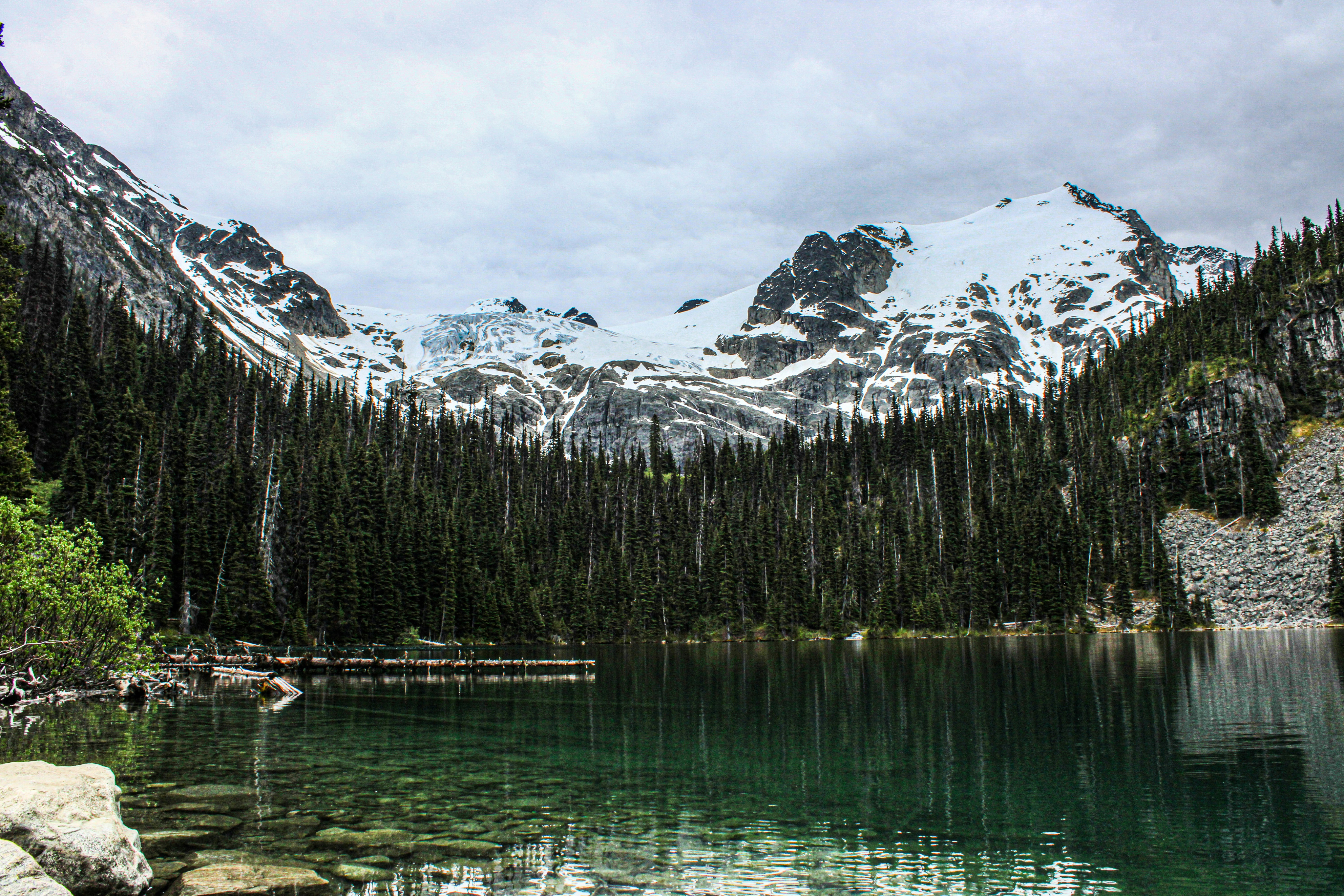 Using the NZFT to Assess Financial Institutions’ Transition Plans (2025)